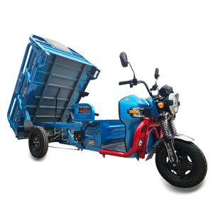 【ML-1000W-GB2】Electric Cargo Tricycle 3 Wheels Electric Bike Near Me Price