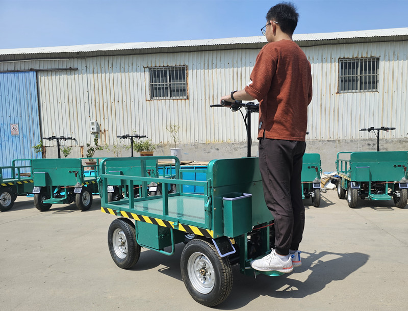Double oil brake electric cargo trolleys ML-800W-55B
